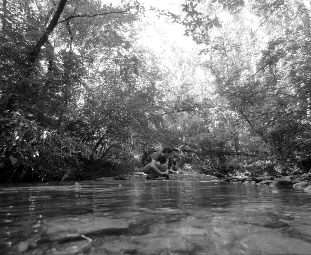 This image has an empty alt attribute; its file name is image.png